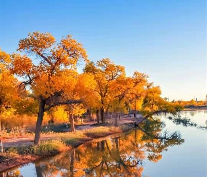 落实保证金制度 助力水利工程建设