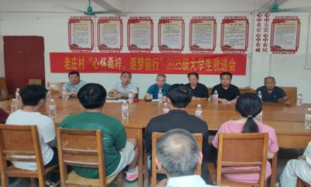 南阳市新野县歪子镇老庄村举办